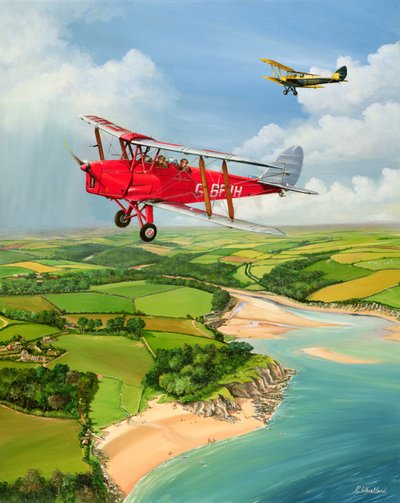 Mothecombe Moths, 1999 od Richard Wheatland